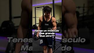 Tenes un músculo mas grande que otro gym fitnessargentina consejosfitness [upl. by Zedecrem]