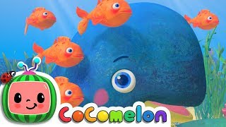 Baby Blue Whale Song  CoComelon Nursery Rhymes amp Kids Songs [upl. by Akamaozu101]