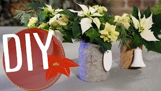 DIY met Kerststerren  nel amp makkelijk  Winterse boeketen in een pot MyPoinsettia [upl. by Negaem63]