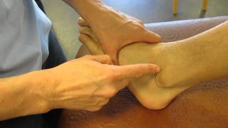 Lateral Malleolus Fibula Ankle Palpation [upl. by Sardella]