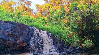 The Sound of Waterfall For Stress Relief Improve Health Fresh Nature Ambience For Relaxing Calm [upl. by Ecyarg]