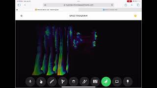 All types of sounds  Spectrogram  Chrome Music Lab [upl. by Marcelia]