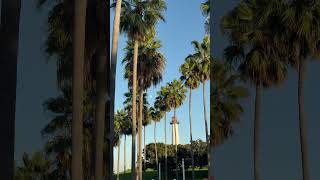 Long Beach lighthouse California USA travel nature ocean [upl. by Aneen682]