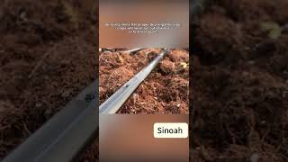 Sinoah drip irrigation dripirrigation machine dripline [upl. by Narruc]