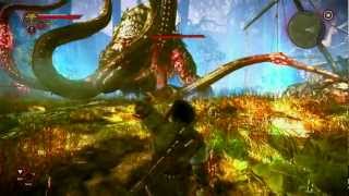 The Witcher 2 2  Matando Boss Kayran [upl. by Smaoht]