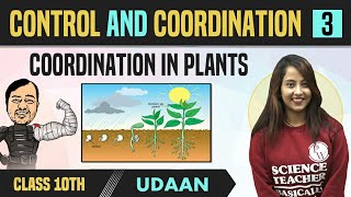 Control and Coordination 03  Coordination in Plants  Class 10  NCERT  Udaan [upl. by Netsud416]