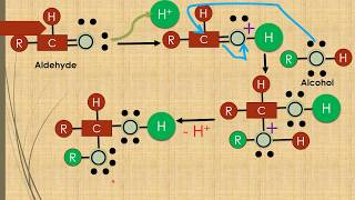 Hemiacetals formation Animation Alcohol  Aldehyde [upl. by Lauter514]