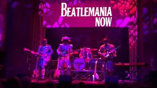 Beatlemania Now [upl. by Galvin]