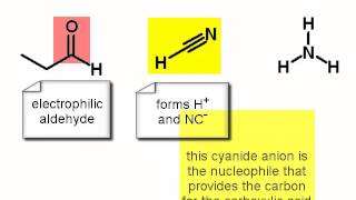 Chemistry Vignettes Strecker amino acid synthesis [upl. by Aube86]