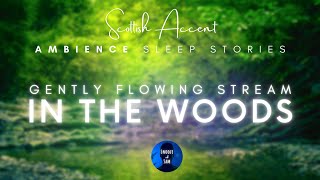 Scottish Deep Sleep Story and Meditation  quotGently Flowing Stream in the Woodsquot [upl. by Ahsaekal]