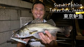 東京鲈鱼 Suzuki Japanese Seabass Fishing Tokyo Bay Japan Topwater on DUO Realis Pencil 100 [upl. by Boleslaw]