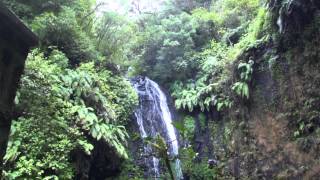 MADAGASCAR  La Montagne dAmbre et les Tsingy Rouges [upl. by Leeann377]