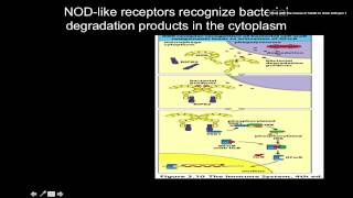 Immunology NOD like receptors [upl. by Glynas98]