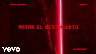 Prince Royce  Matar el Sentimiento Official Lyric Video [upl. by Waltner744]