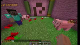 MINECRAFT DIMINUTOS 5 [upl. by Lener454]