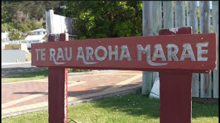 EU Ambassador visits Te Rau Aroha Marae [upl. by Eittak]