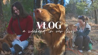 A Weekend In Our Lives  hiking lost in the woods shopping foxy adventures [upl. by Vergos]