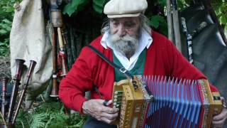 Tarantella Calabrese suono tipico di Cardeto RC Organetto  Diego Aquilino [upl. by Nahte]