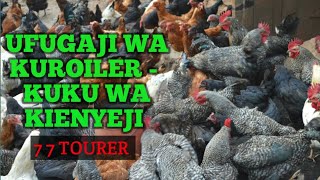 Ufugaji wa kuroiler  kuku wa kienyeji [upl. by Esbensen]