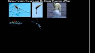 What are the Properties of Liquids Surface Tension Viscosity Special Properties  Chemistry Tips [upl. by Assyral229]