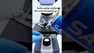 Soda Water Under The Microscopeshortsthistechnology facts microscope mrbeast technology [upl. by Mylander939]