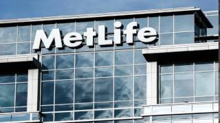 Review of MetLife Insurance [upl. by Ruosnam]