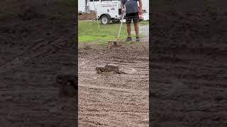 RC crawlers stuck deep in the mud [upl. by Maclean]