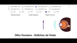 Simulador de de Olho Humano Defeitos da Visão [upl. by Faso970]