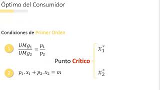 MICROECONOMÍA I  Teoría del Consumidor Maximización de la Utilidad  Análisis analítico [upl. by Aidyl]