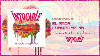 Intocable  El Amor Cuando Se Va audio oficial [upl. by Nirak]