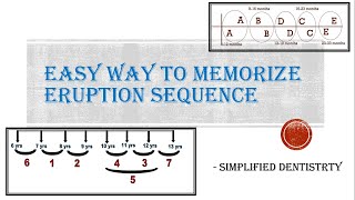Eruption Sequence of Primary and Permanent Teeth [upl. by Ames]