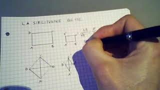 La similitudine  seconda media [upl. by Myke]