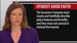 3 Legal Concepts of the Insurance Contract [upl. by Rapp406]