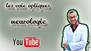 les voies optiques [upl. by Odravde]