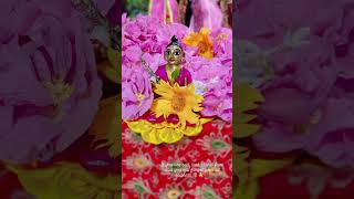 Pain killer 🌷🙏❤️comment minivlog youtubeshorts like radhakrishna gopal vlog subscribe [upl. by Emera]