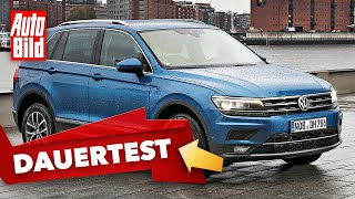 VW Tiguan 2020 Dauertest  SUV  Ratgeber  Info [upl. by Karel]