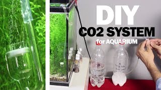 DIY CO2 System For Aquarium easy and cheap [upl. by Dodwell]