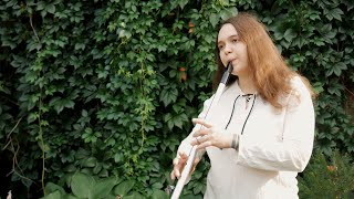 Sliabh na mBan Slievenamon  Irish Slow Air  Low Tin Whistle  Irish Traditional Flute Music [upl. by Acimahs75]