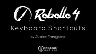 Rebelle 4 Tutorials Keyboard Shortcuts [upl. by Conney783]