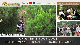 On a testé pour vous  Une promenade en calèche dans les Landes [upl. by Arbba]