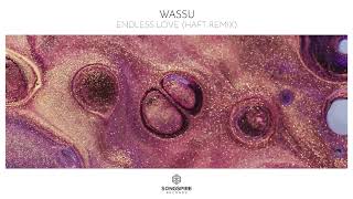 Wassu  Endless Love HAFT Remix [upl. by Latoniah]