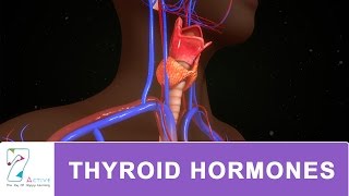 THYROID HORMONES [upl. by Attenhoj614]