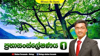 ප්‍රභාසංස්ලෙශනය 1කොටසජීව විද්‍යාව [upl. by Burne729]