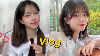 10년 만에 단발했어요💇🏻‍♀️  셀프 단발  중단발 레이어드  웬디컷  샤밍컷  차홍아르더 [upl. by Yrgoerg]