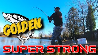 PESCA ALLO STORIONE  GOLDEN SUPER STRONG [upl. by Avir]