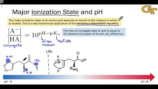 Acidity and Ionization States of Amino Acids [upl. by Anavahs346]