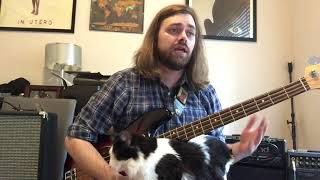 The Beatles  Polythene Pam Bass Cover and Lesson [upl. by Esylla]