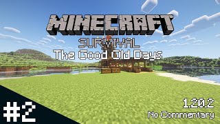 Minecraft Survival  The Good Old Days 2  No Commentary  1202 [upl. by Nakada]