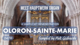 Meet Hauptwerk Organ OLORONSAINTEMARIE 24III [upl. by Sofie253]