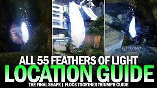 All 55 Feathers of Light in The Pale Heart  Complete Guide Flock Together Triumph Destiny 2 [upl. by Aniham801]